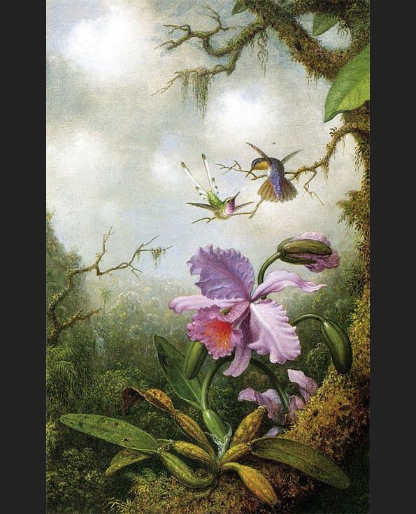 Hummingbirds Canvas Paintings page 2